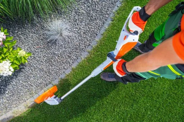 lawn edging ideas and tips