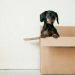 Ways to Make Moving