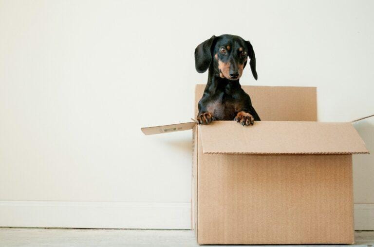 Ways to Make Moving