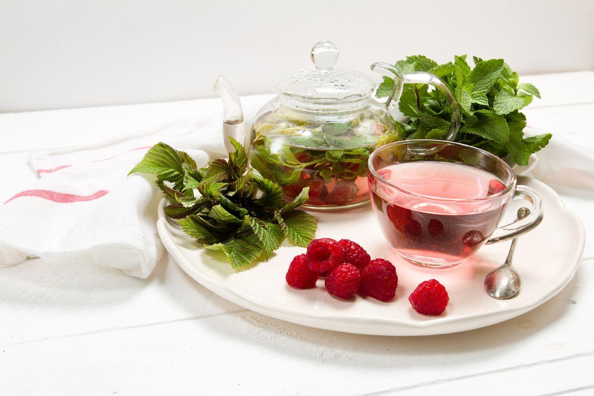 raspberry leaf tea